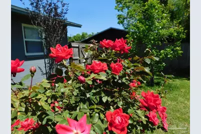 6508 East Shore Dr, Pensacola, FL 32505 - Photo 43