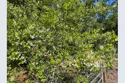 3947 Ward Basin Rd, Milton, FL 32583 - Photo 23