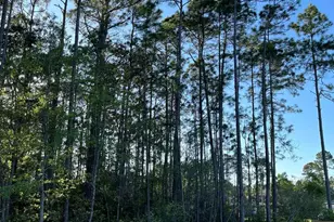 7071 Flintwood St, Navarre, FL 32566 - Photo 45