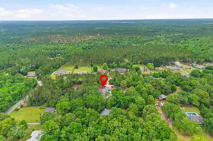 2629 Wallace Lake Rd, Pace, FL 32571 - Photo 69