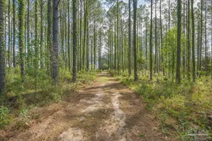 6374 Perfect Acres Rd, Milton, FL 32570 - Photo 53