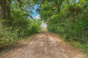 6374 Perfect Acres Rd, Milton, FL 32570 - Photo 51