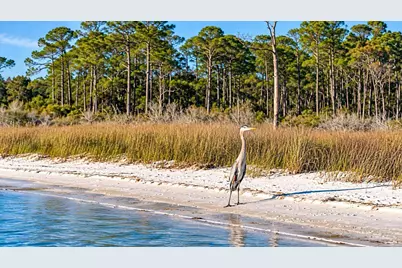 10355 Foggy Bottom Rd, Pensacola, FL 32507 - Photo 3