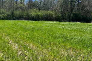 001 Hwy 399, Jay, FL 32565 - Photo 5