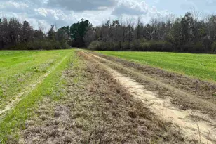 001 Hwy 399, Jay, FL 32565 - Photo 11