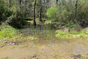 001 Hwy 399, Jay, FL 32565 - Photo 9
