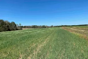 001 Hwy 399, Jay, FL 32565 - Photo 3