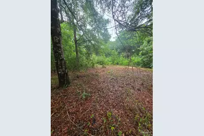 Pickens Cir, Baker, FL 32531 - Photo 3