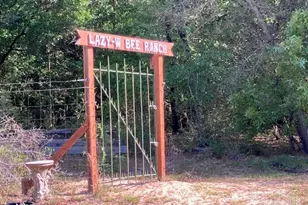6255 Little Bits Tr, Milton, FL 32583 - Photo 27