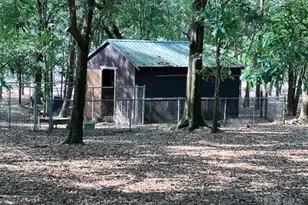 6255 Little Bits Tr, Milton, FL 32583 - Photo 19
