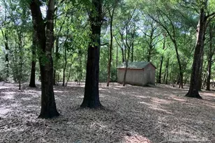 6255 Little Bits Tr, Milton, FL 32583 - Photo 21
