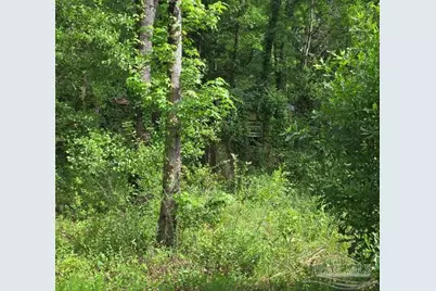 Parcel B 2000 Molino Rd, Molino, FL 32577 - Photo 21
