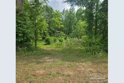 Parcel B 2000 Molino Rd, Molino, FL 32577 - Photo 17
