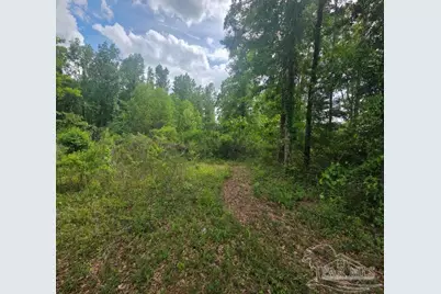 Parcel B 2000 Molino Rd, Molino, FL 32577 - Photo 19