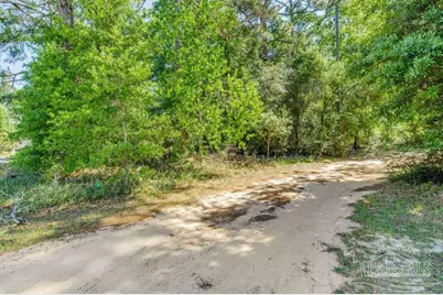 12327 Ailanthus Dr, Pensacola, FL 32506 - Photo 3