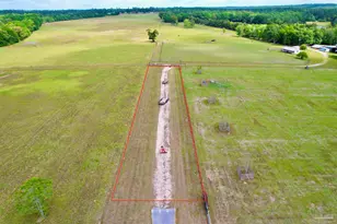 4425 Dream Acres Rd, Molino, FL 32577 - Photo 51