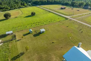 4425 Dream Acres Rd, Molino, FL 32577 - Photo 55