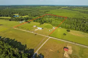 4425 Dream Acres Rd, Molino, FL 32577 - Photo 3