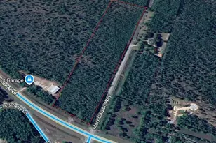 11 55 Acres Avalon Blvd, Milton, FL 32583 - Photo 3