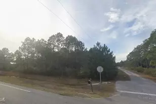 11 55 Acres Avalon Blvd, Milton, FL 32583 - Photo 5