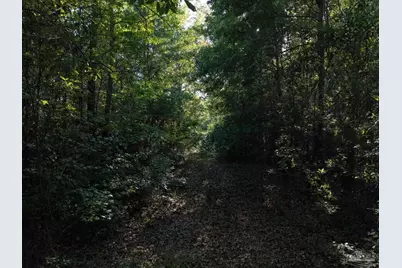 2200 Fannie Rd, Century, FL 32535 - Photo 17