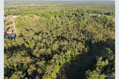 2200 Fannie Rd, Century, FL 32535 - Photo 21