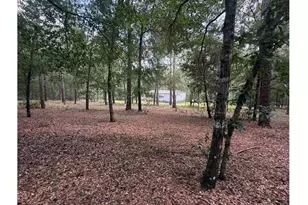 11226 N Lakeview Dr, Milton, FL 32583 - Photo 51