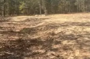 11226 N Lakeview Dr, Milton, FL 32583 - Photo 25