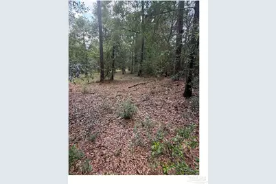 11226 N Lakeview Dr, Milton, FL 32583 - Photo 61