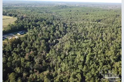 85+/- Acres Wiley Scott Rd, Jay, FL 32565 - Photo 7