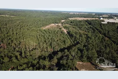 85+/- Acres Wiley Scott Rd, Jay, FL 32565 - Photo 3