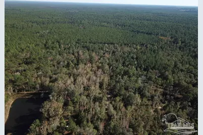 85+/- Acres Wiley Scott Rd, Jay, FL 32565 - Photo 9