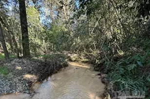 85+/- Acres Wiley Scott Rd, Jay, FL 32565 - Photo 1