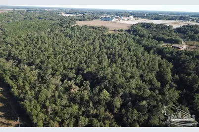 85+/- Acres Wiley Scott Rd, Jay, FL 32565 - Photo 5