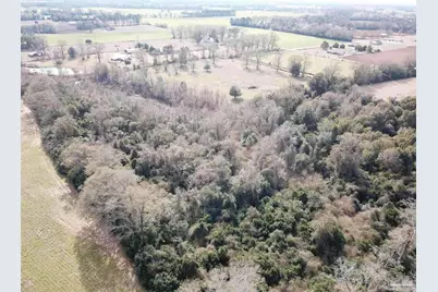 13 Acres Hwy 4, Jay, FL 32565 - Photo 5