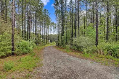 1918 Pineview Church Rd, Jay, FL 32565 - Photo 41