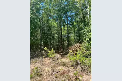 Colts Crossing Ln, Milton, FL 32570 - Photo 3