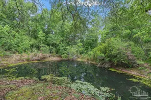 8271 Mobile Hwy, Pensacola, FL 32526 - Photo 11
