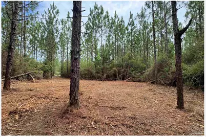 Parcel A Killian Dr, Milton, FL 32570 - Photo 11