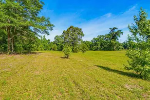 4940 Dawson Rd, Century, FL 32535 - Photo 13