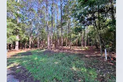 4753 Henry Wilson Creek Dri, Milton, FL 32583 - Photo 11