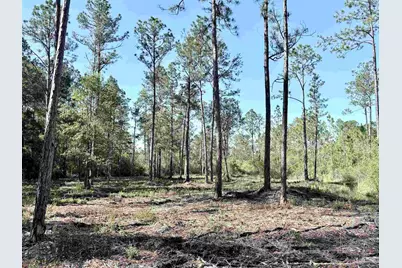 Del Monte St, Milton, FL 32583 - Photo 9