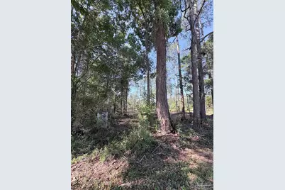 Del Monte St, Milton, FL 32583 - Photo 5