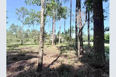 Del Monte St, Milton, FL 32583 - Photo 7