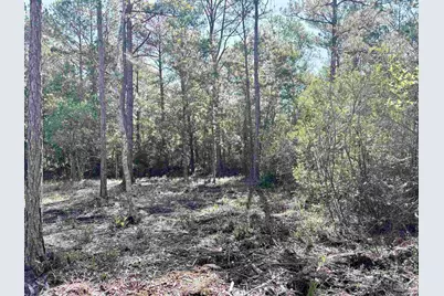 Del Monte St, Milton, FL 32583 - Photo 13