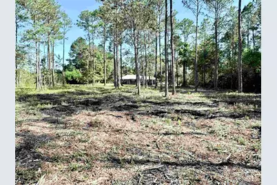 Del Monte St, Milton, FL 32583 - Photo 15