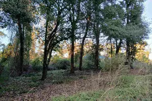 Century Blvd, Century, FL 32535 - Photo 1