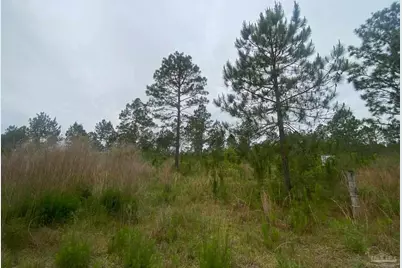 0 Walther Rd, Milton, FL 32570 - Photo 5
