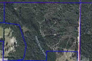 0 Walther Rd, Milton, FL 32570 - Photo 1