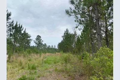 0 Walther Rd, Milton, FL 32570 - Photo 9